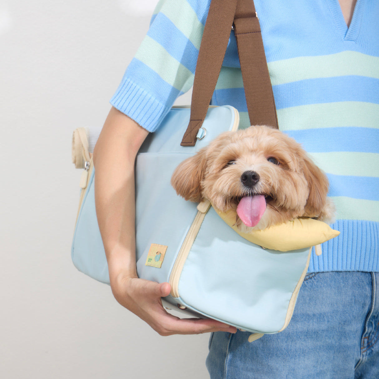 Pet carrier