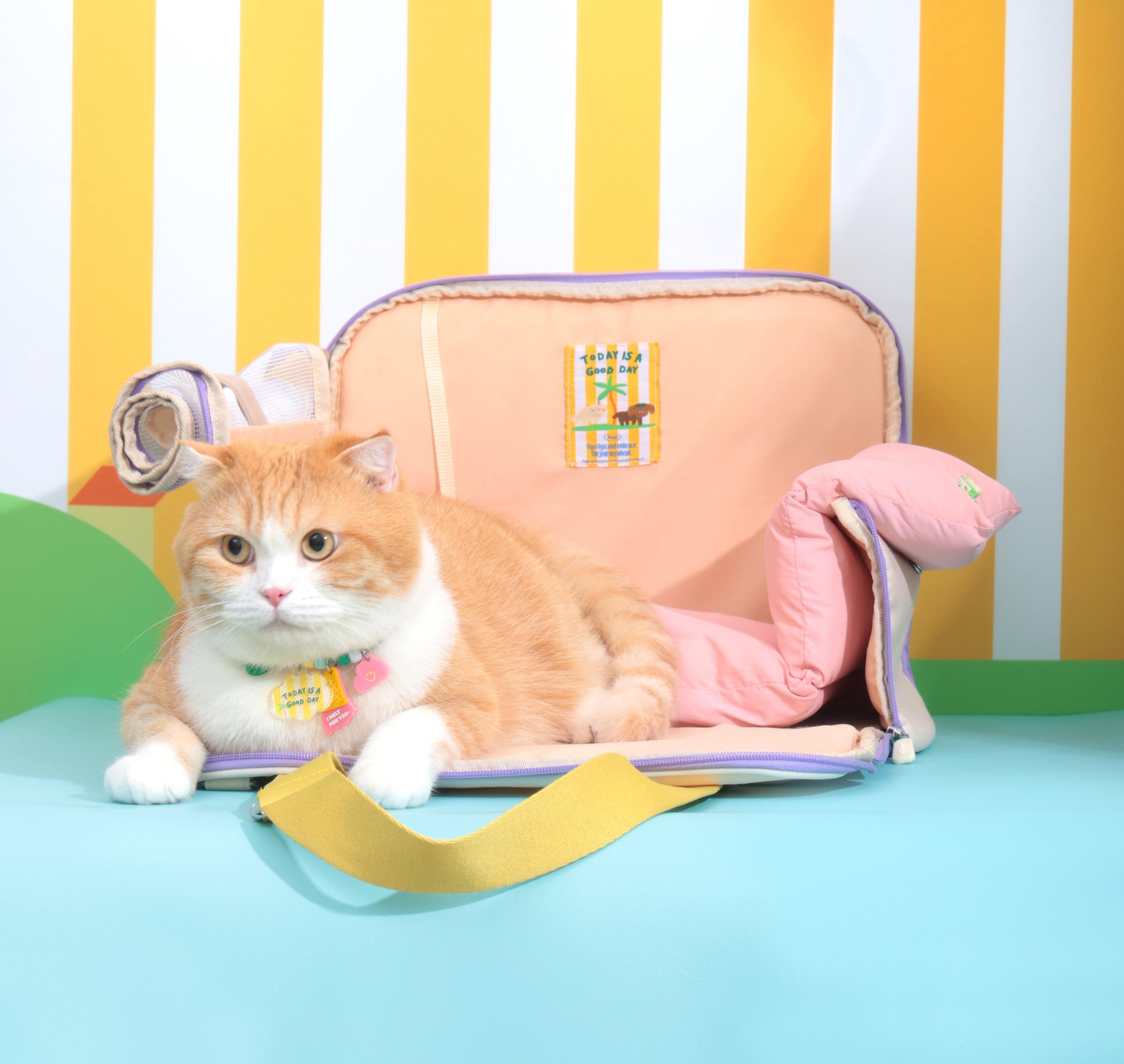 Ogo ogo Pet carrier