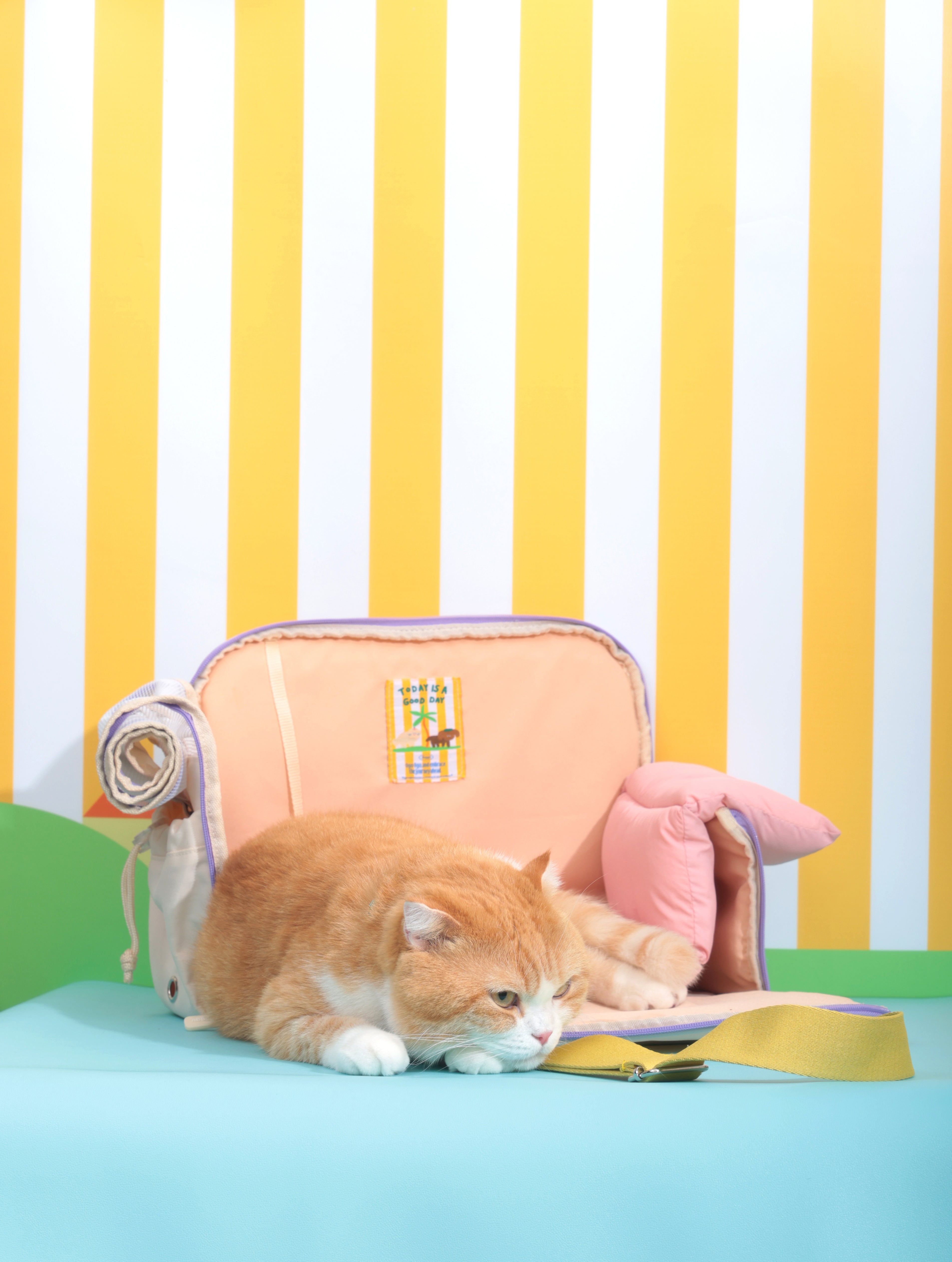 Ogo ogo Pet carrier