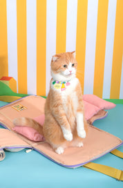 Ogo ogo Pet carrier