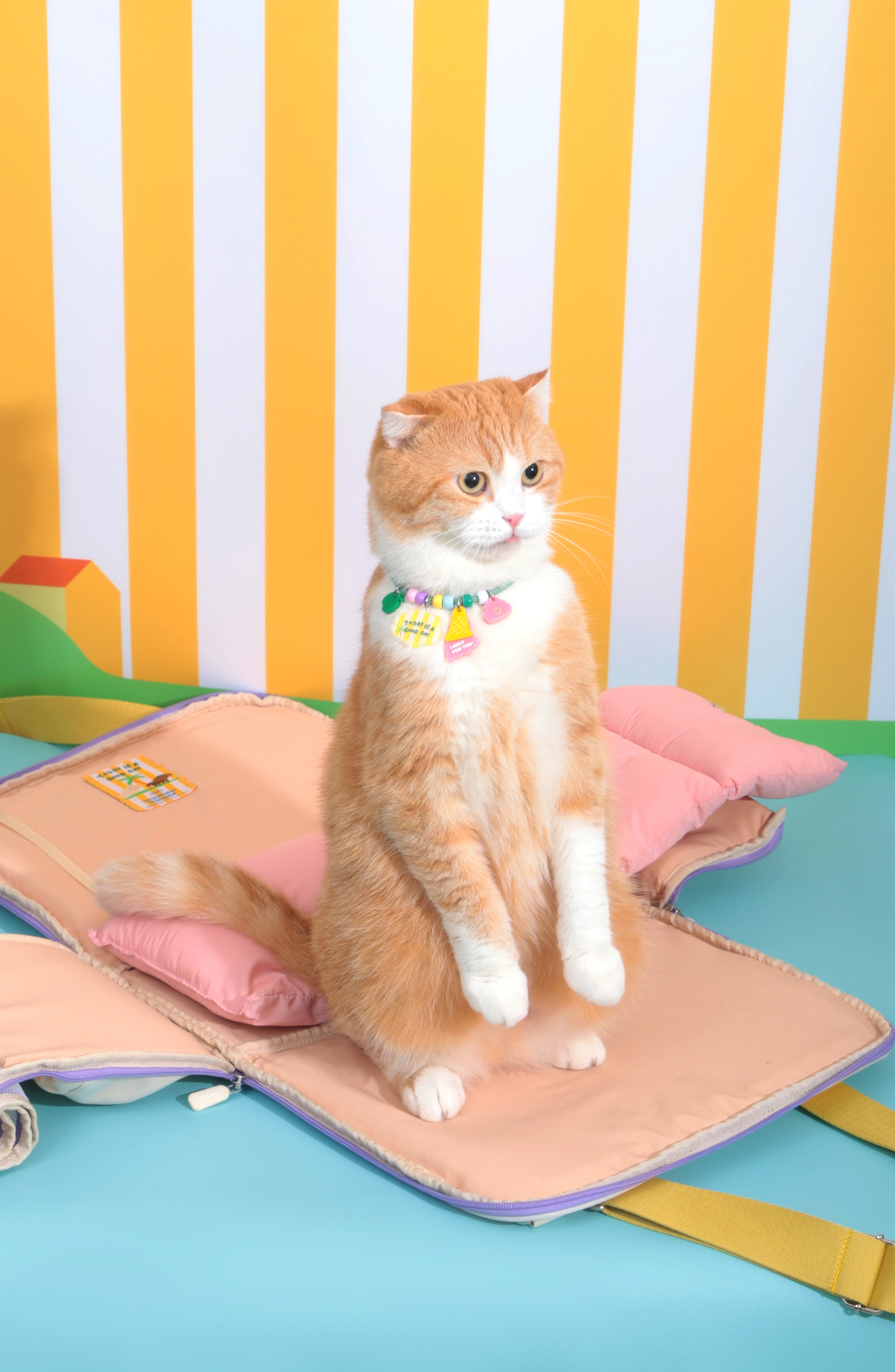 Ogo ogo Pet carrier