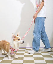 Parco Millé Summer Camp harness set