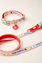 Bonjour Bebe Collar & Leash ❤️