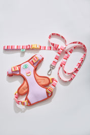 Parco Millé Summer Camp harness set