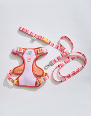 Parco Millé Summer Camp harness set