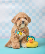 Create your own : Spa time! Pet necklace
