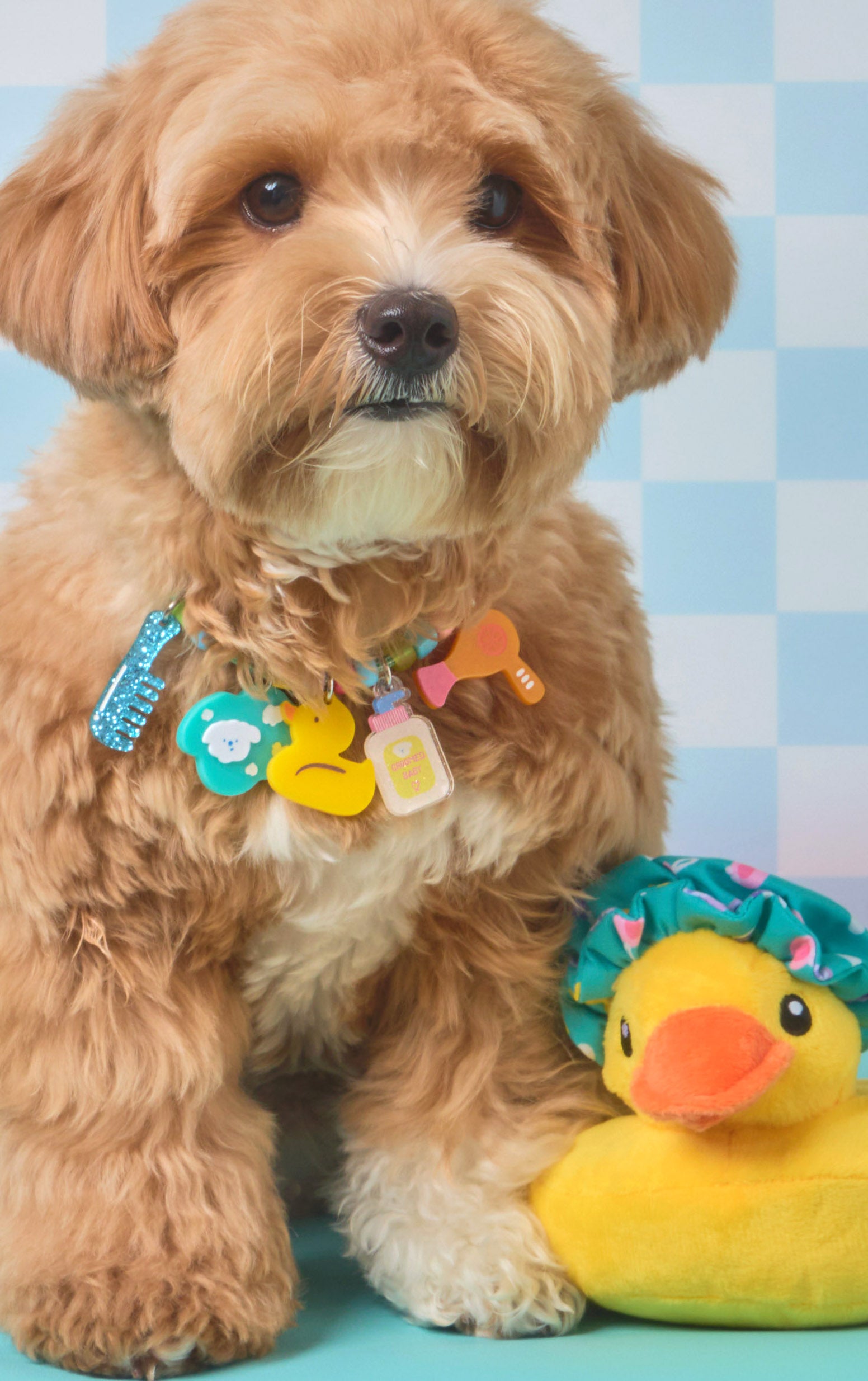 Create your own : Spa time! Pet necklace