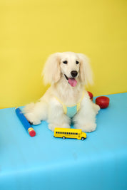 No School Pet Singlet