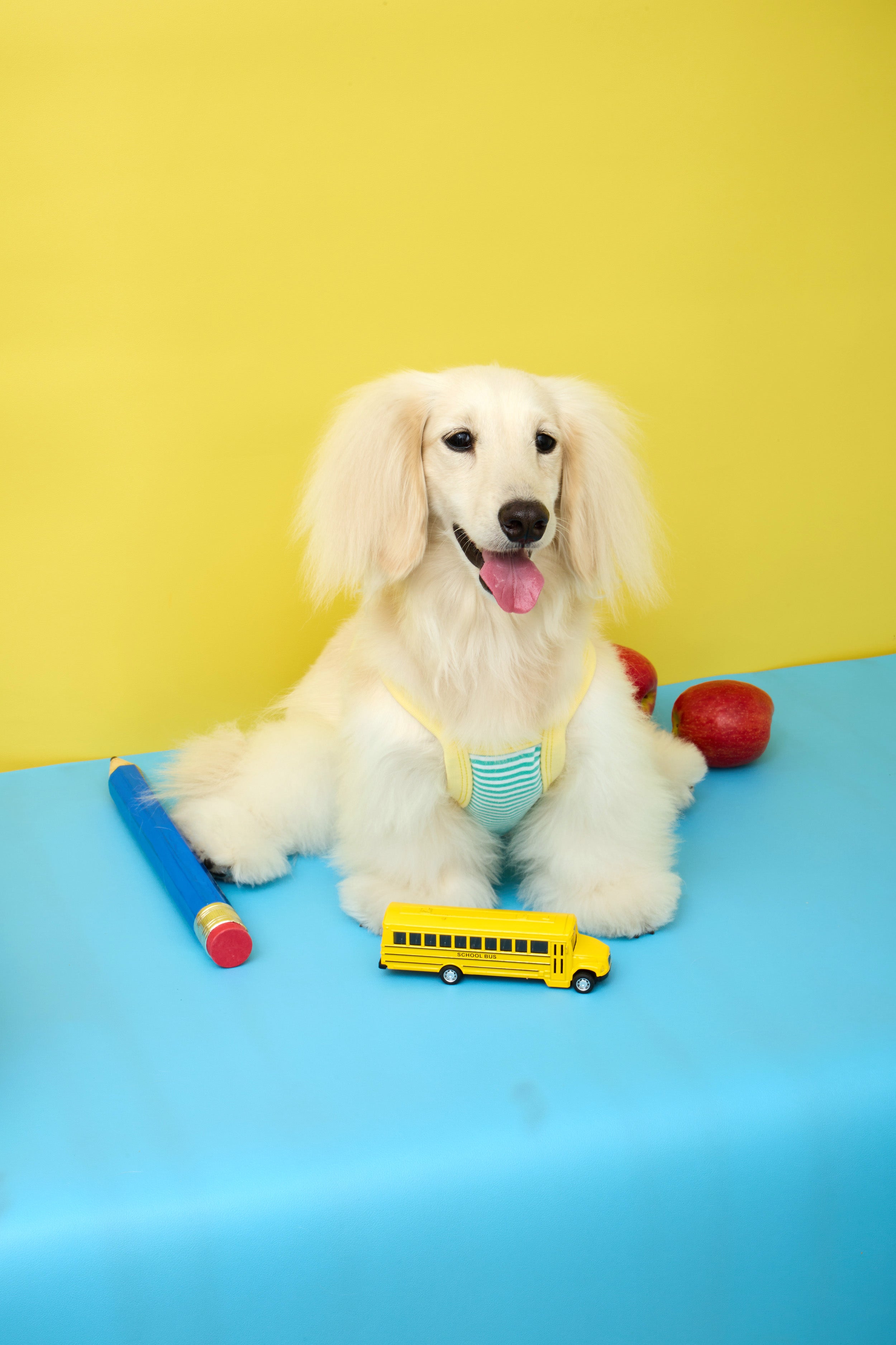 No School Pet Singlet