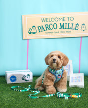 Parco Millé Summer Camp harness set