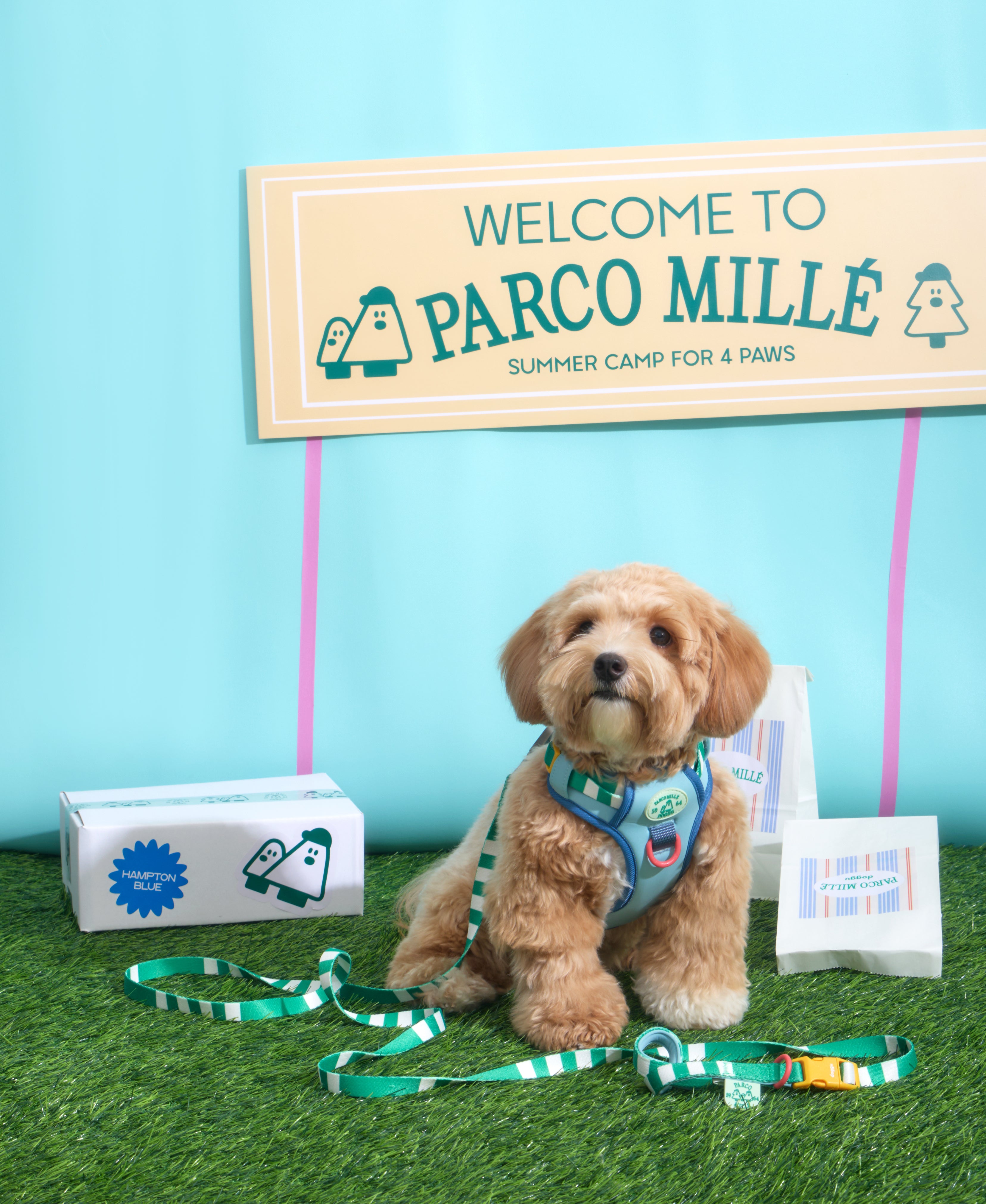 Parco Millé Summer Camp harness set