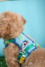 Parco Millé Summer Camp harness set