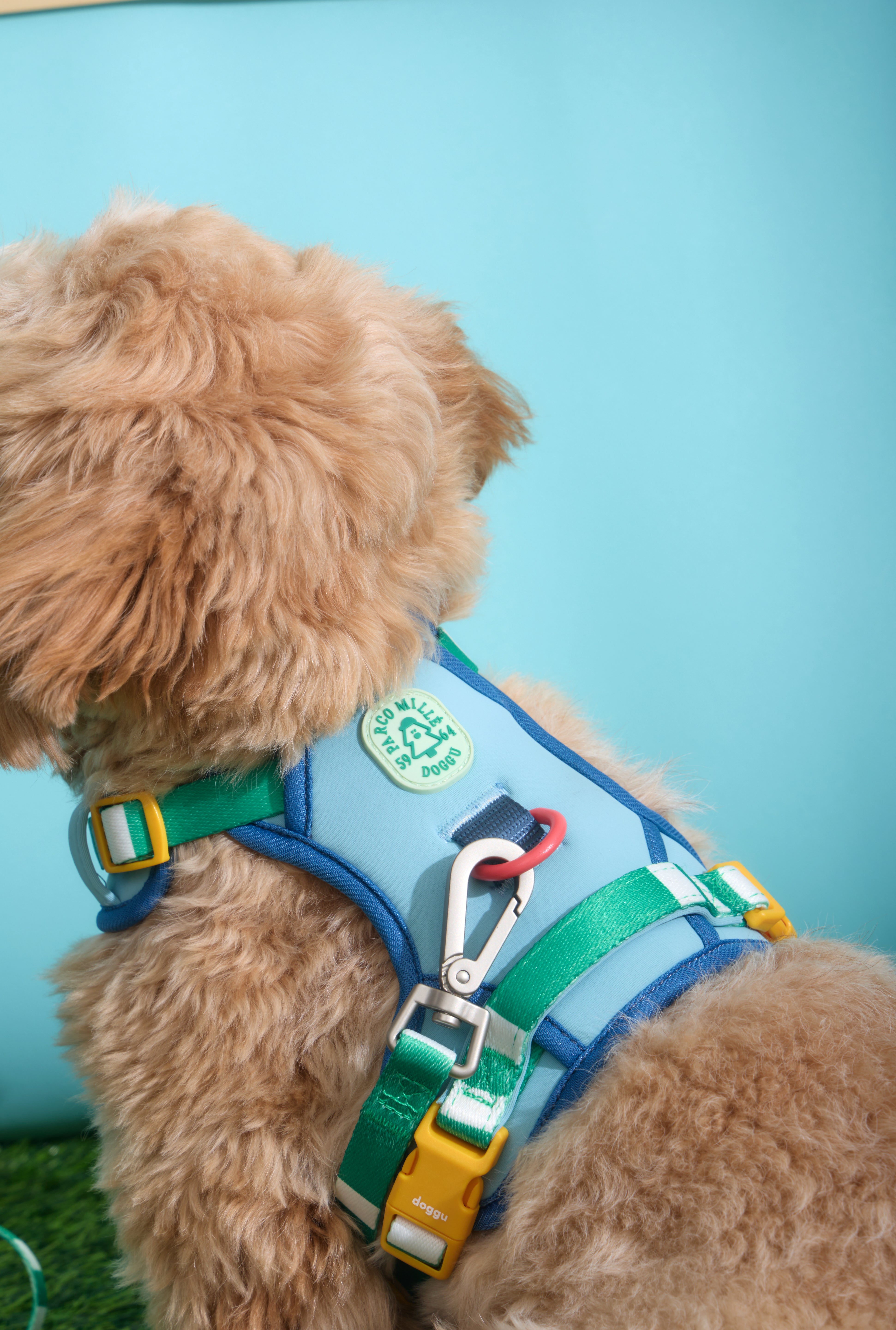 Parco Millé Summer Camp harness set