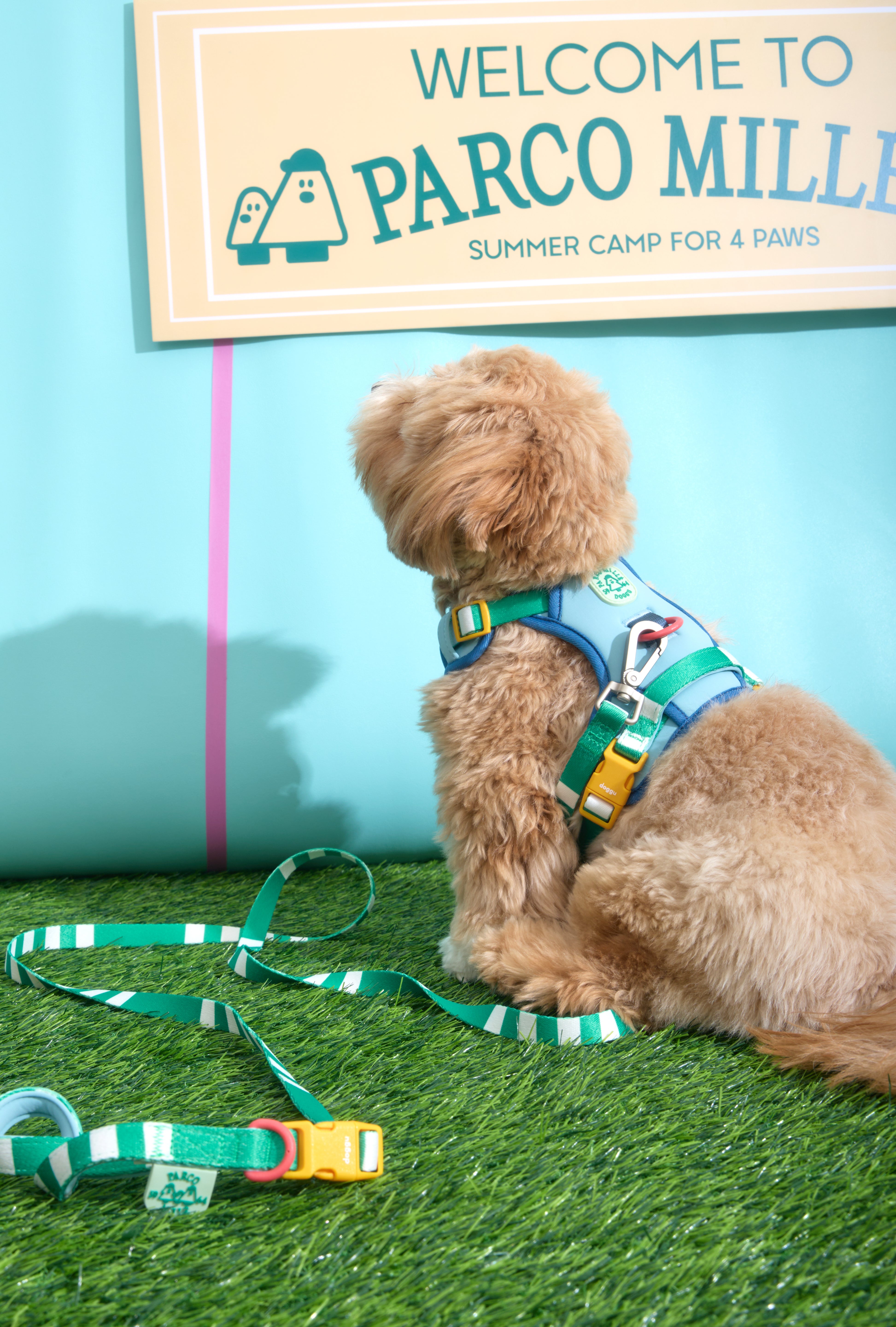 Parco Millé Summer Camp harness set