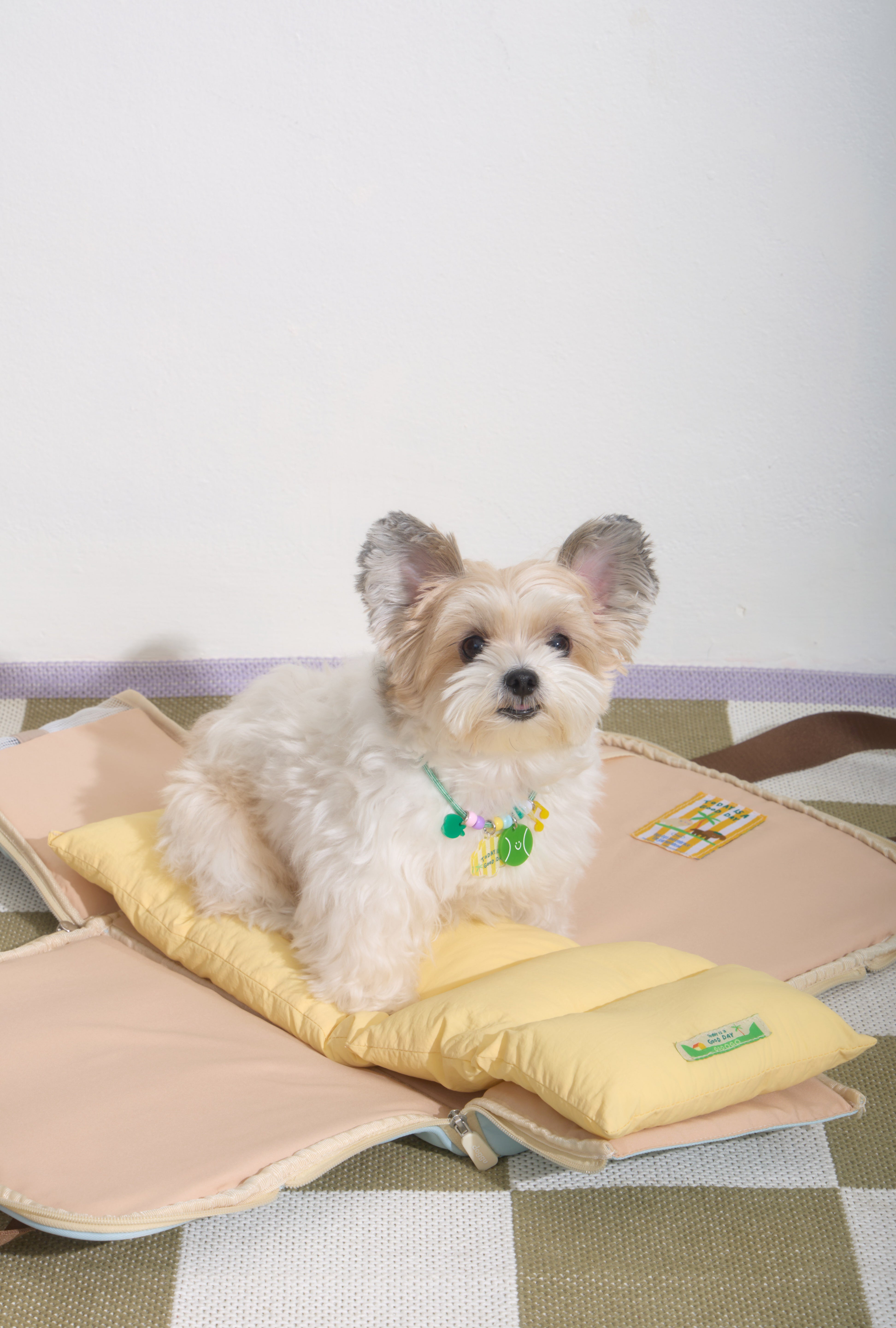 Ogo ogo Pet carrier