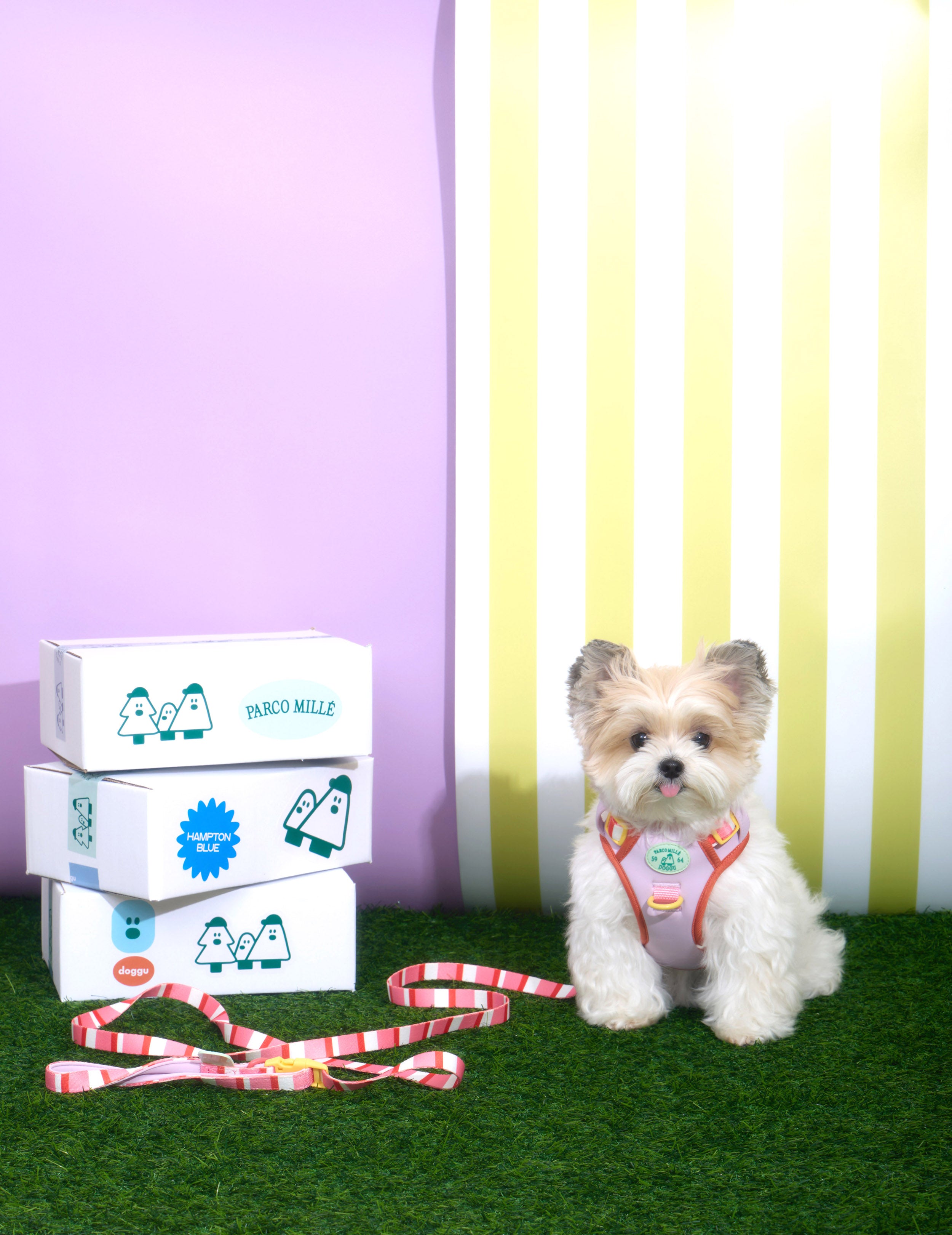 Parco Millé Summer Camp harness set