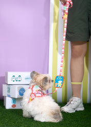 Parco Millé Summer Camp harness set