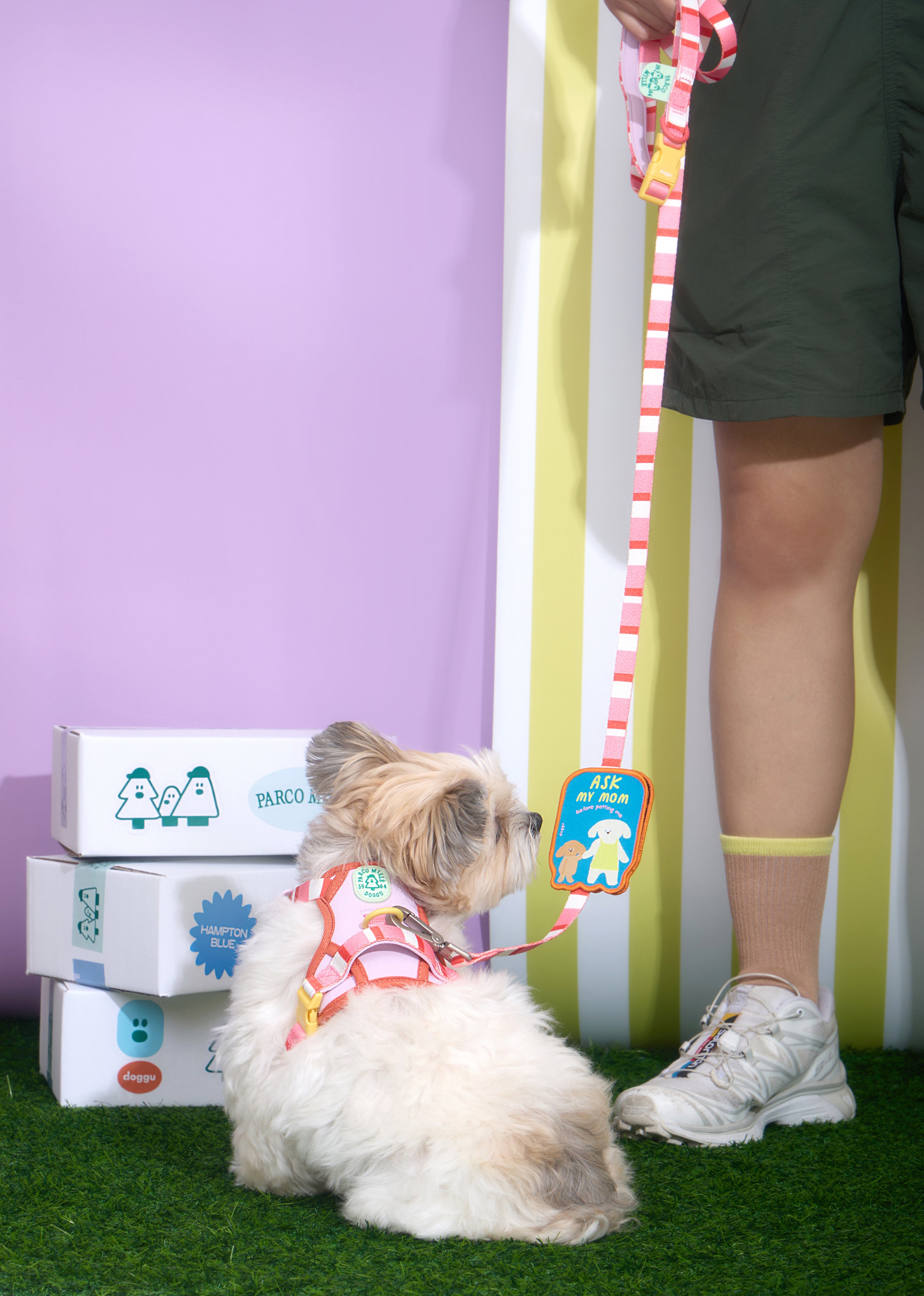 Parco Millé Summer Camp harness set