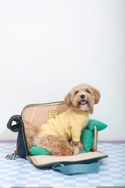Ogo ogo Pet carrier
