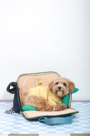 Ogo ogo Pet carrier