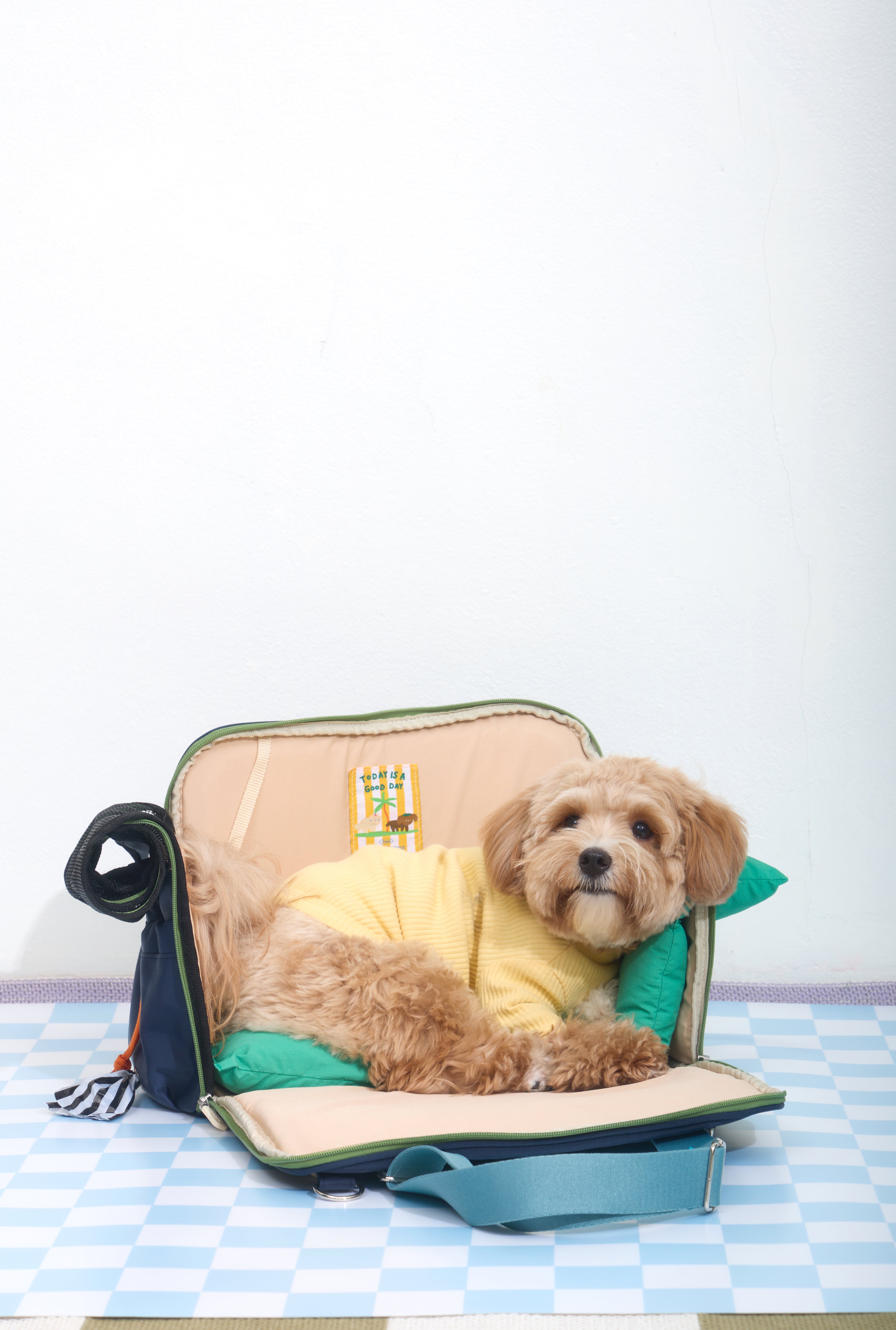 Ogo ogo Pet carrier