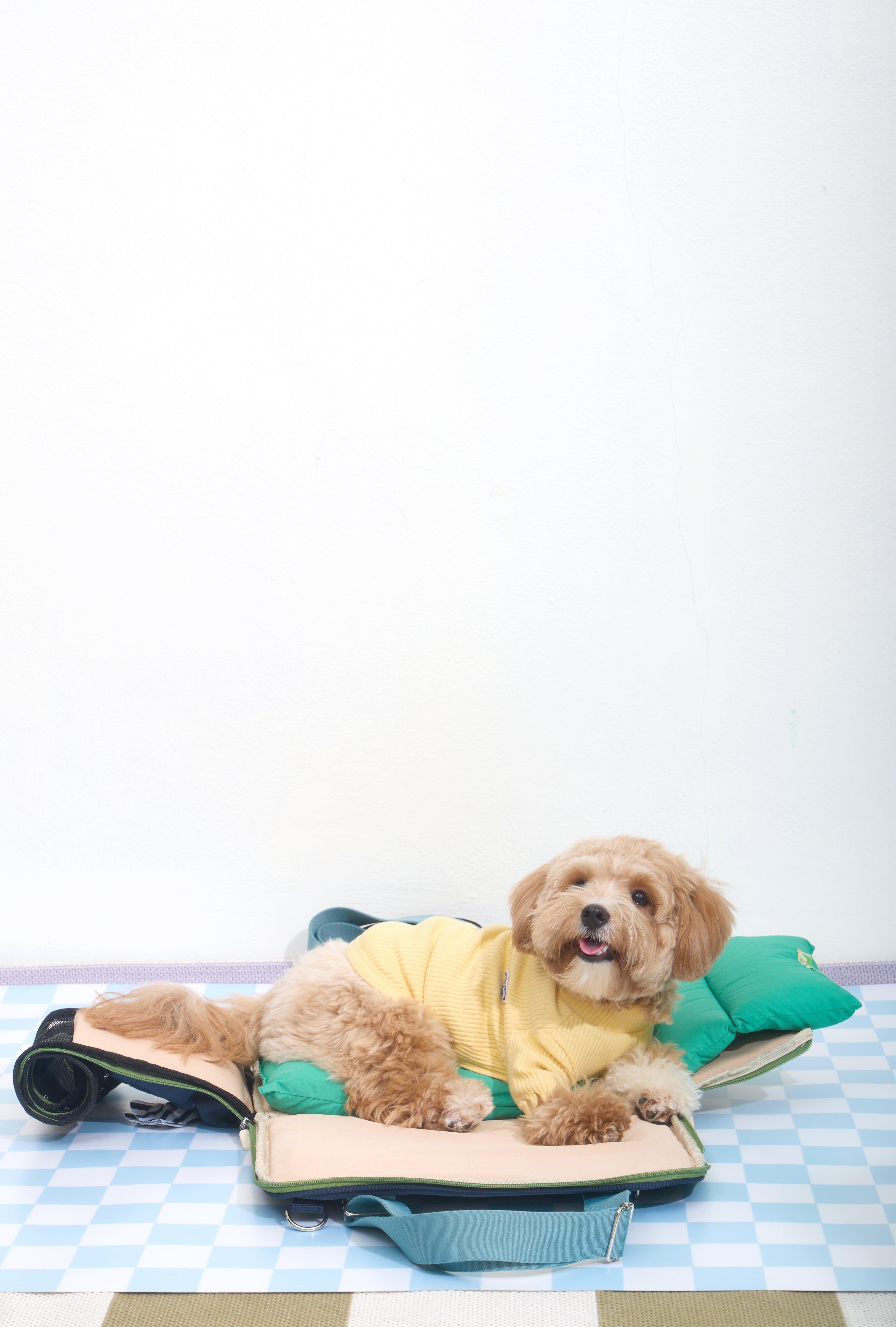 Ogo ogo Pet carrier