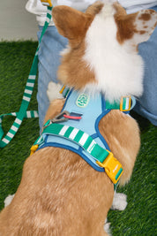 Parco Millé Summer Camp harness set
