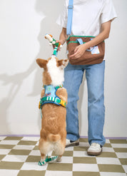 Parco Millé Summer Camp harness set
