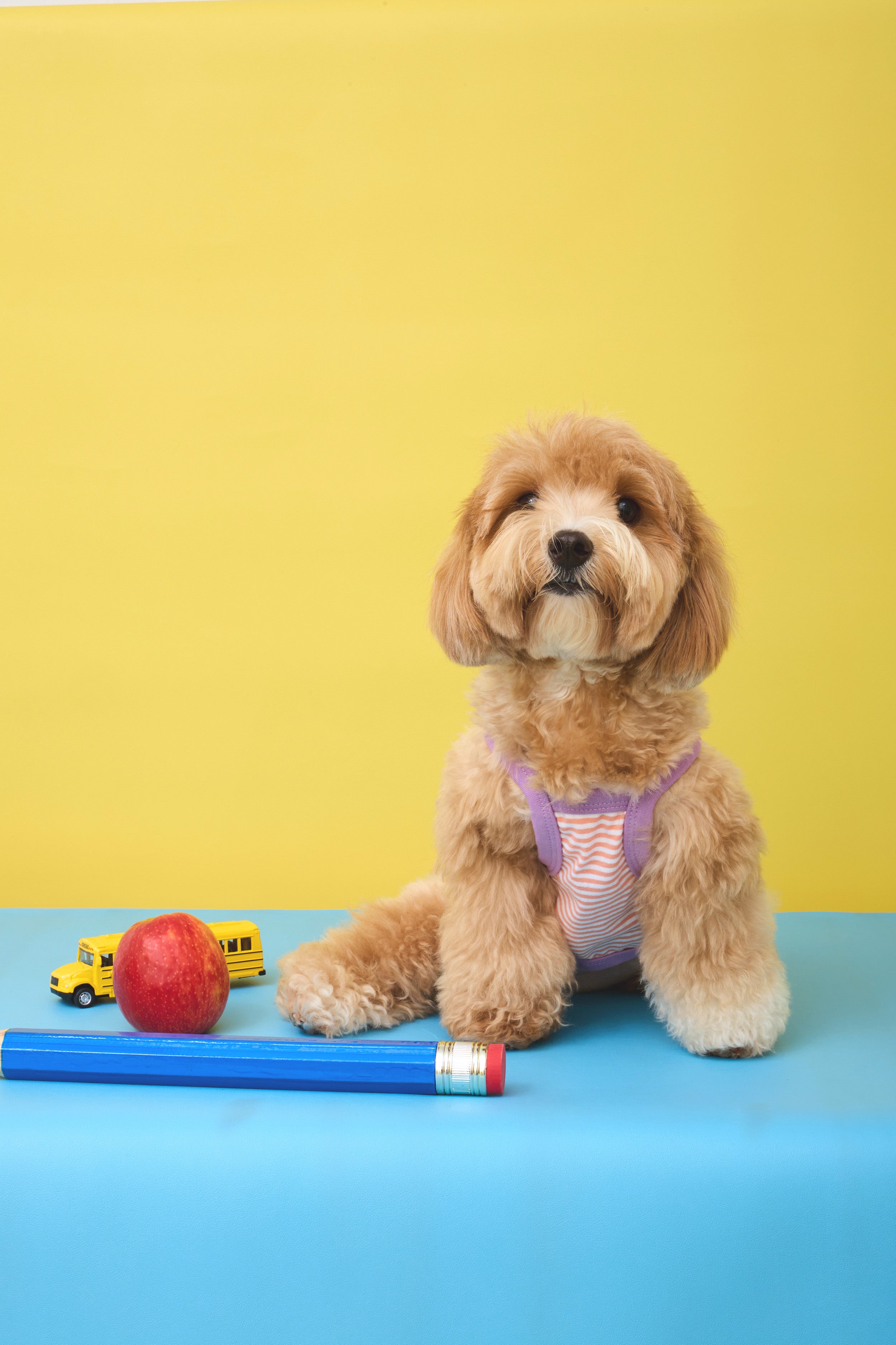 No School Pet Singlet