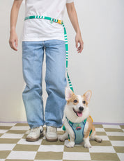 Parco Millé Summer Camp harness set