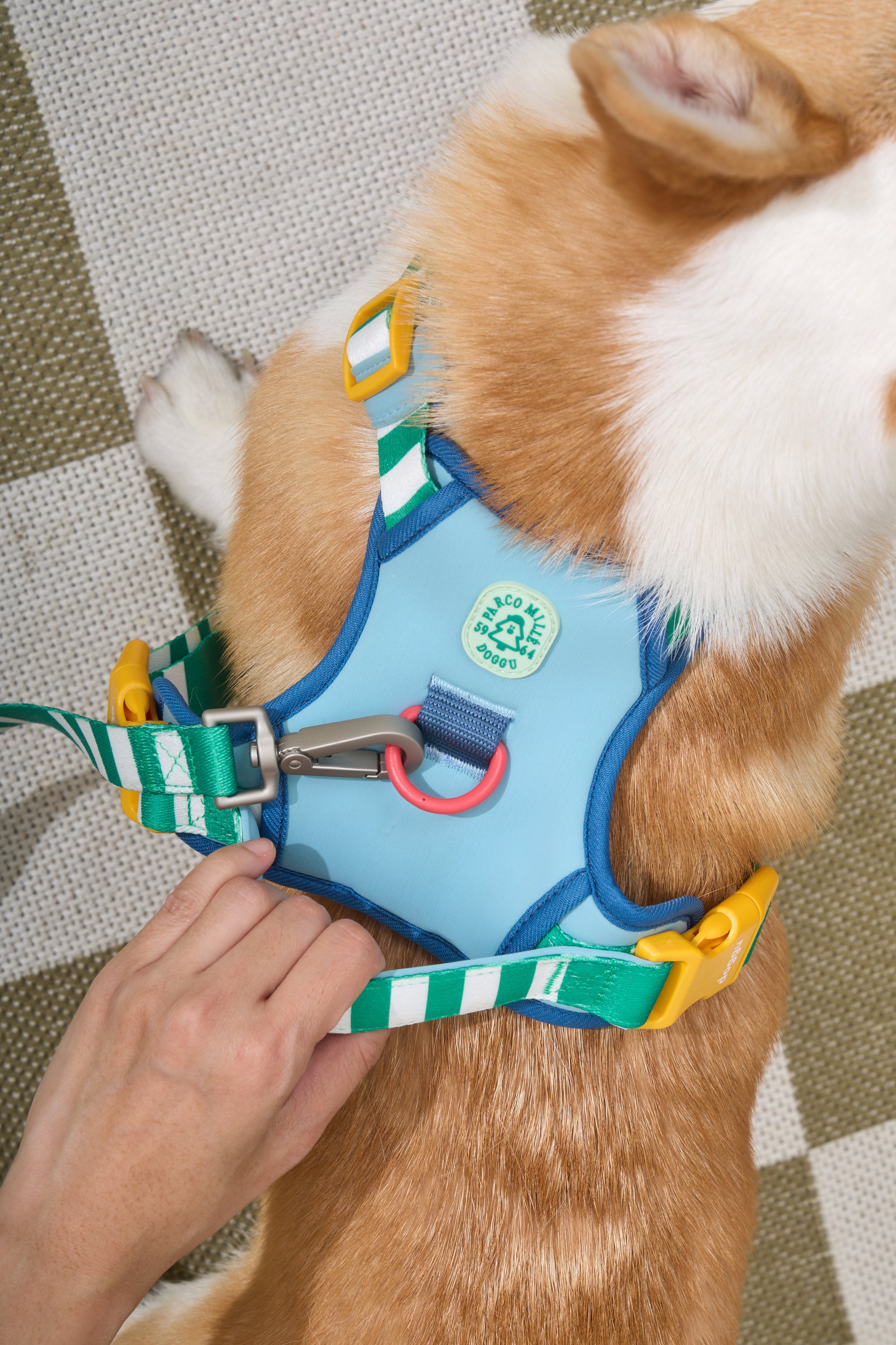 Parco Millé Summer Camp harness set
