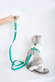 Sport Club Waterproof Harness and leash