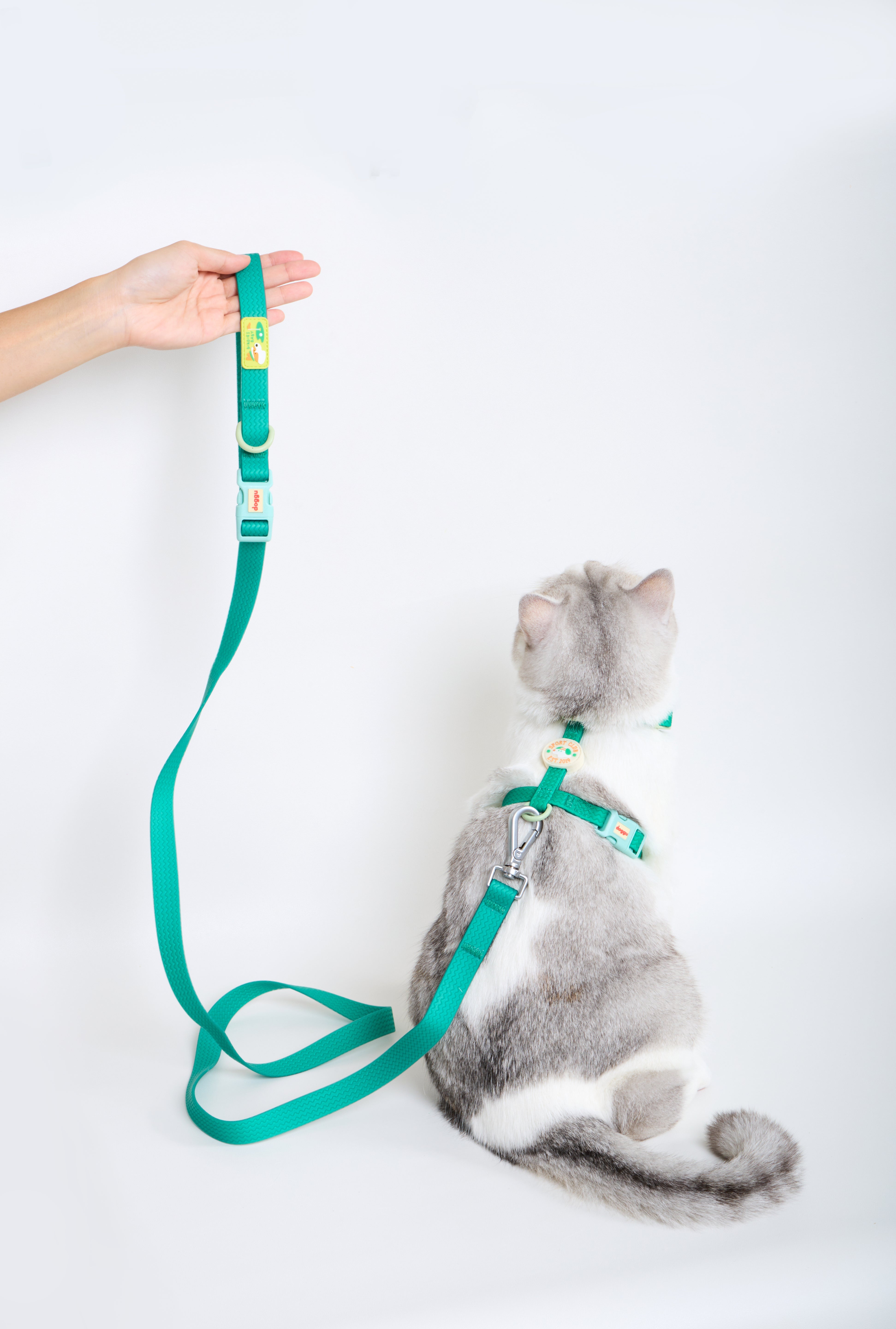 Sport Club Waterproof Harness and leash