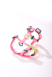Sport Club Waterproof Harness and leash