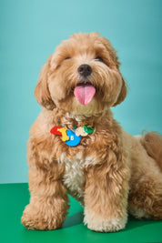 Dog Day Personalised Necklace
