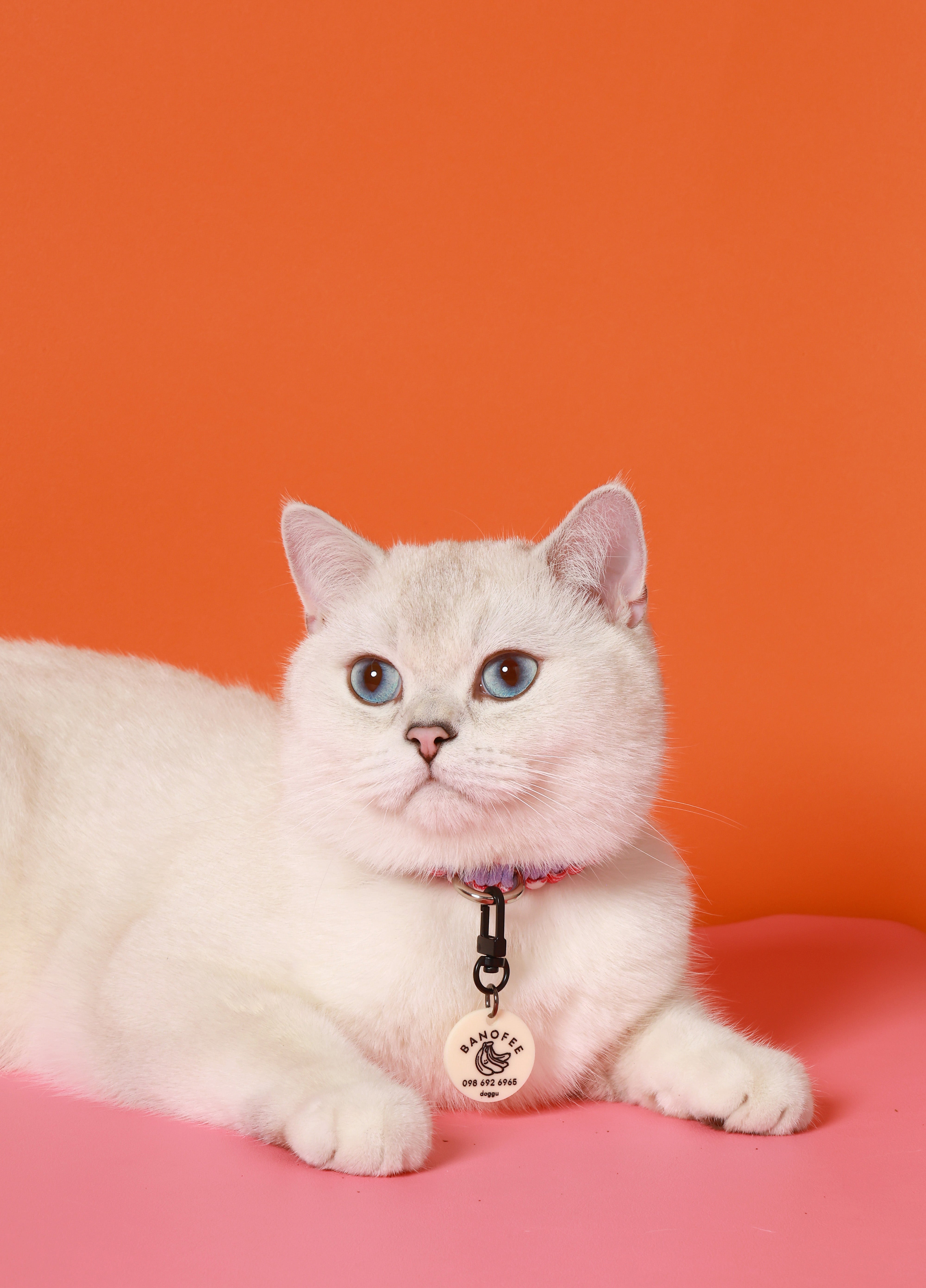Personalise Fruitti Tag