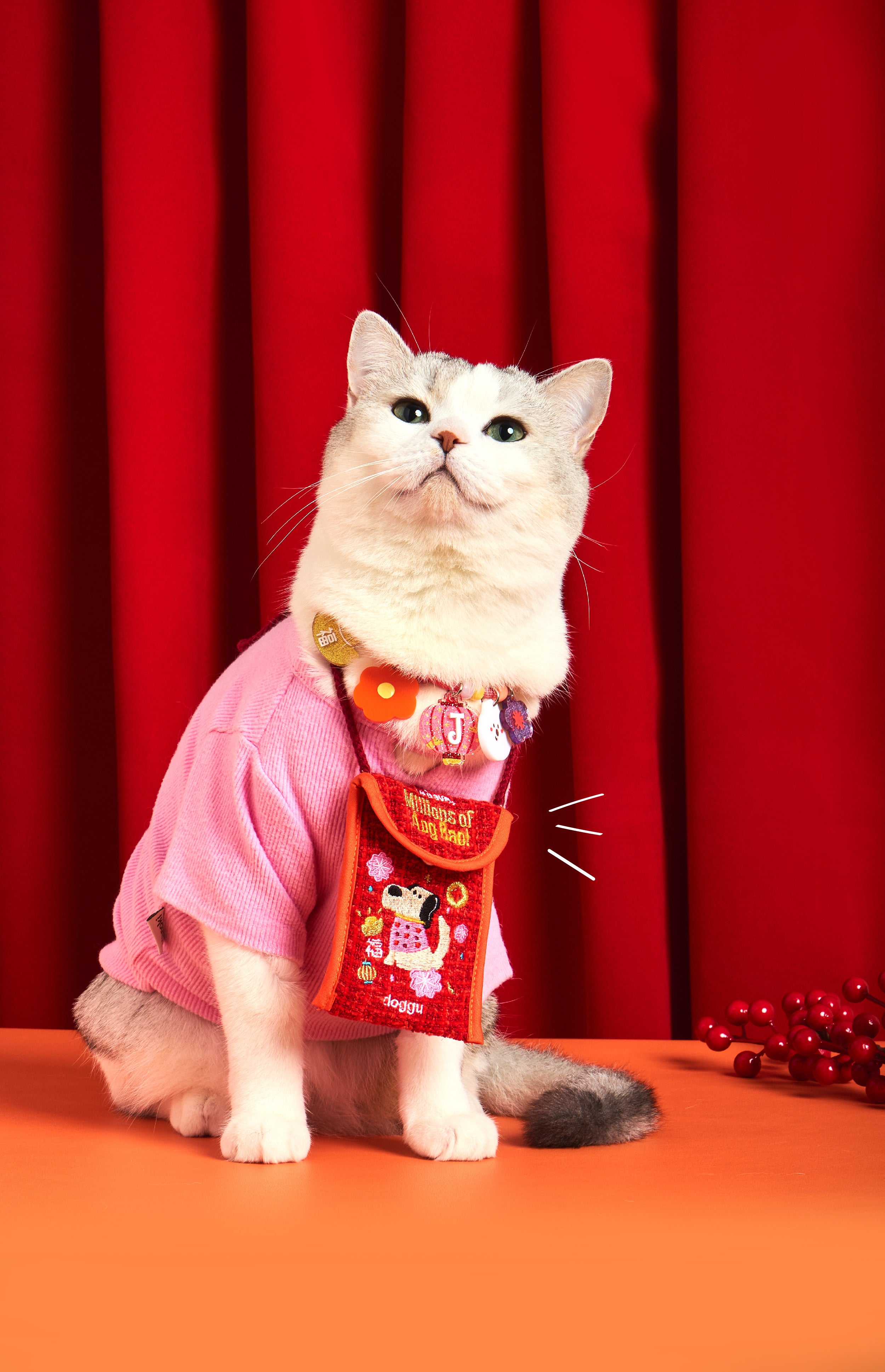 Millions of ang bao money bag *PRE-ORDER*