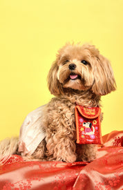 Millions of ang bao money bag *PRE-ORDER*