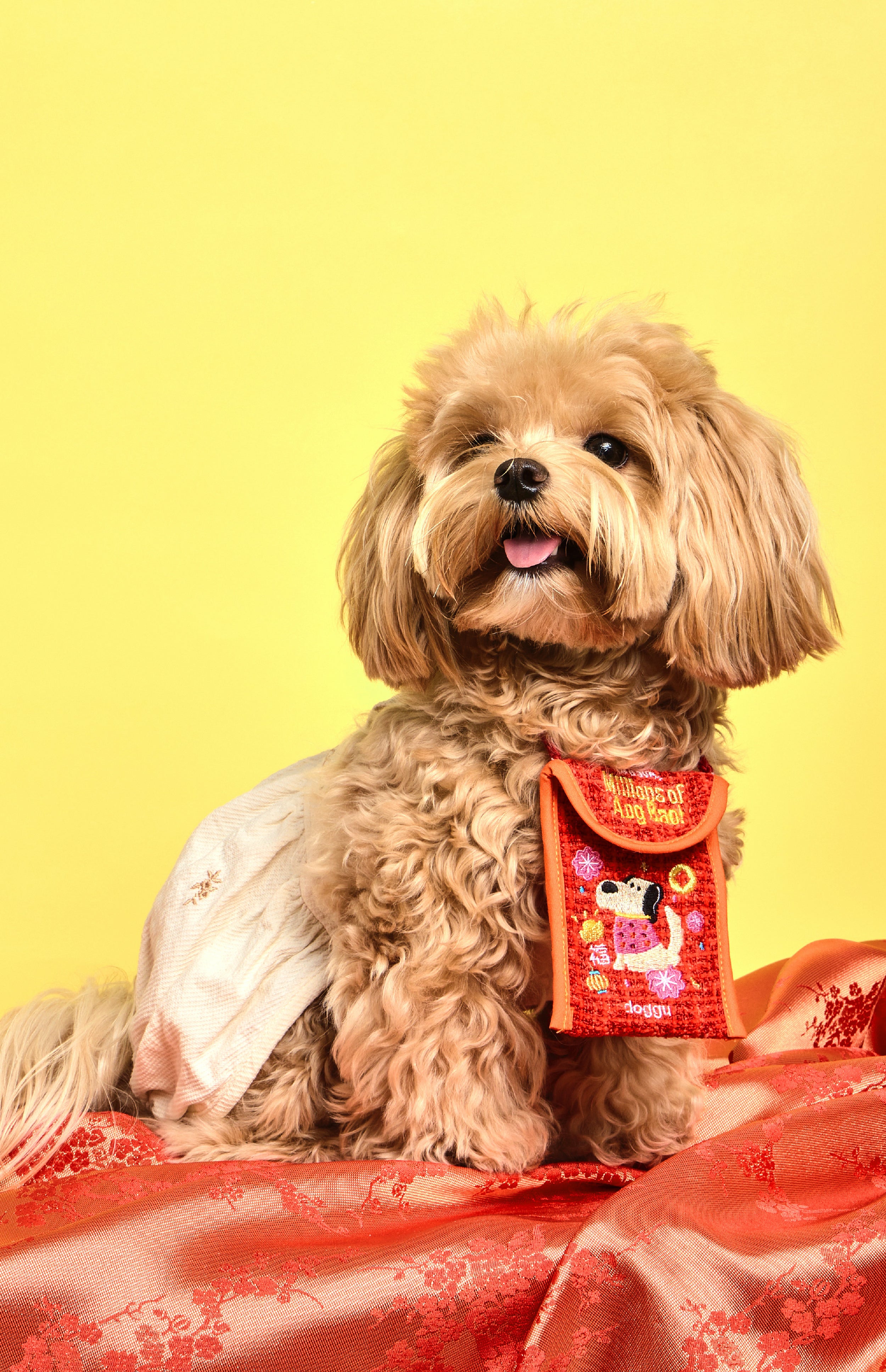 Millions of ang bao money bag *PRE-ORDER*