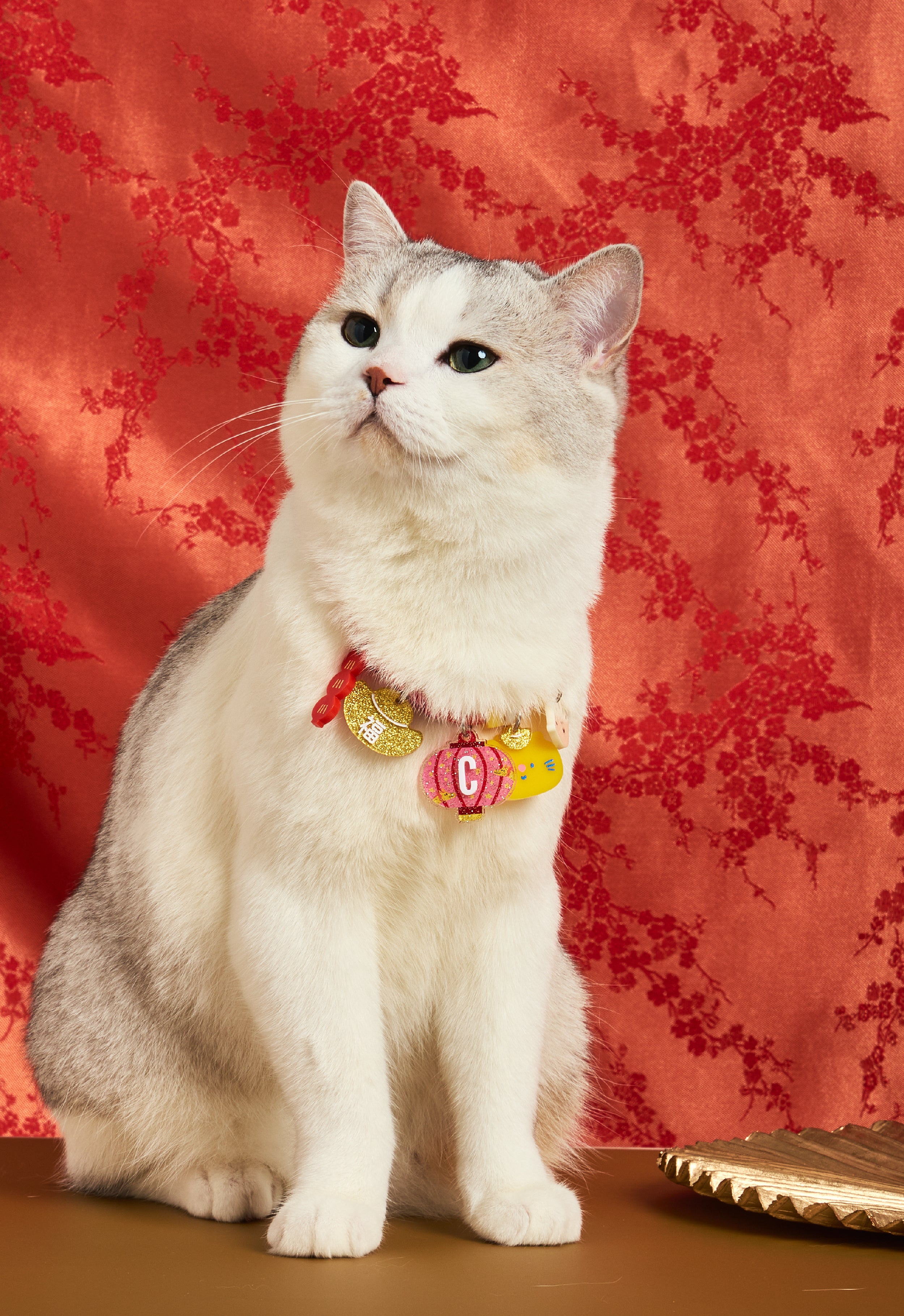 Create your own : Lucky Dragon Lantern Necklace