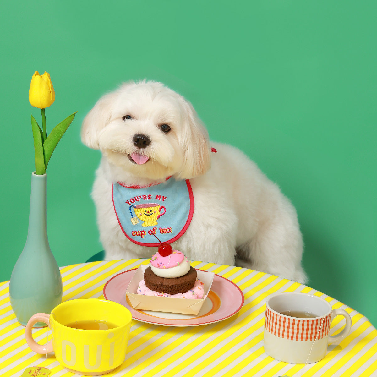 Foodie Bib SET