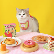Foodie Bib SET