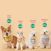 Foodie Bib SET