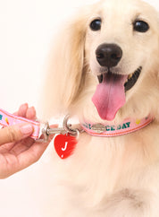 Heart Amis Initial Charm