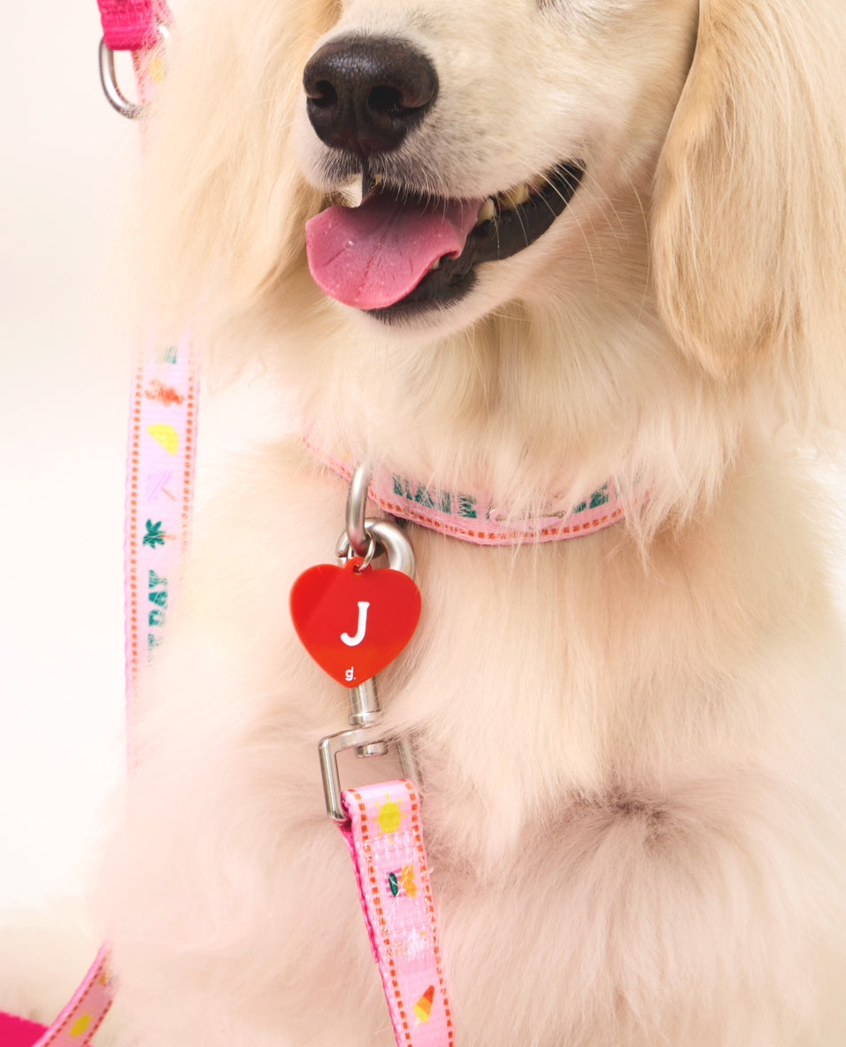 Heart Amis Initial Charm