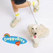 DogguBitz : Take your furry friend with you