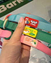Sport Club Waterproof collar and leash