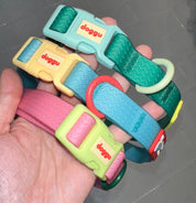 Sport Club Waterproof collar and leash