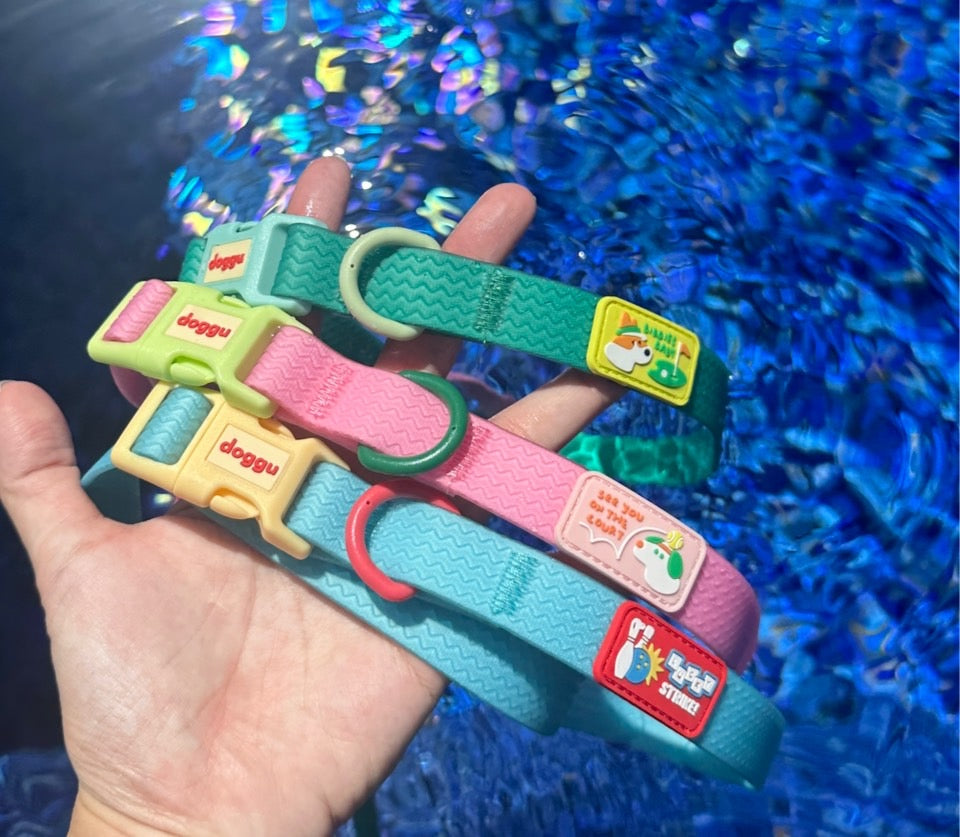 Sport Club Waterproof collar and leash