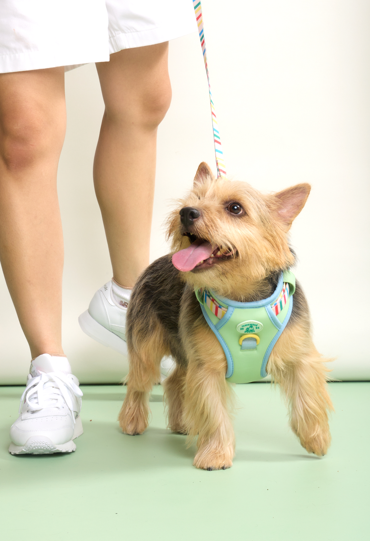 Parco Millé Summer Camp harness set